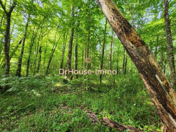 Maison à vendre 9 pièces de 210 m²