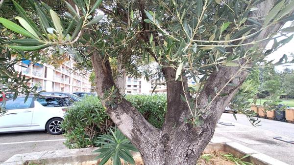 Appartement à vendre 3 pièces PORT DE BOUC (13) LES COMTES AVEC PLACE DE PARKING PRIVEE ET CAVE