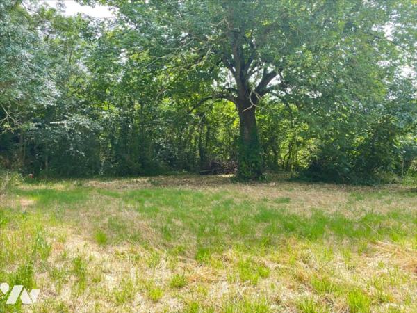 Terrain à bâtir de 1 103m²