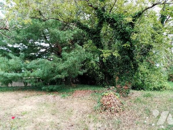 Pavillon dans un bourg avec commerces, proche de LA CHARITE SUR LOIRE