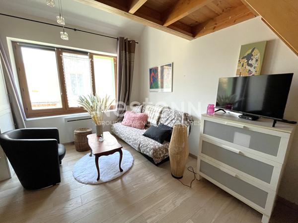 Indre (44610) maison atypique + appartement  locatif + studio , cour, jardin et roof top