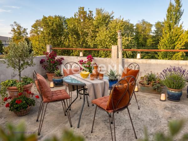 Indre (44610) maison atypique + appartement  locatif + studio , cour, jardin et roof top