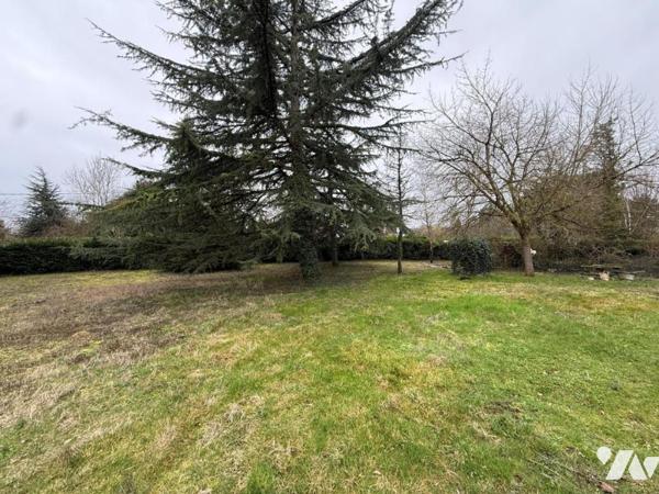 Maison à fort potentiel (300m² au sol), sur un grand terrain calme aux portes de Tours