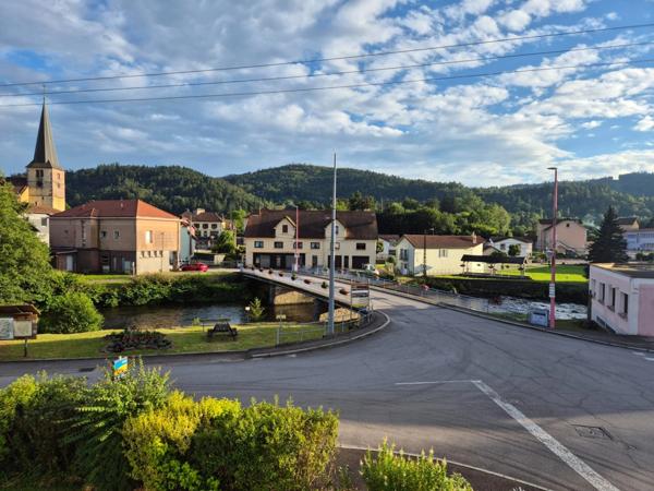 Terrain à vendre RAMONCHAMP Vosges