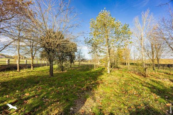 Maison à vendre |  Graulhet |  4 pièces | 97 m²