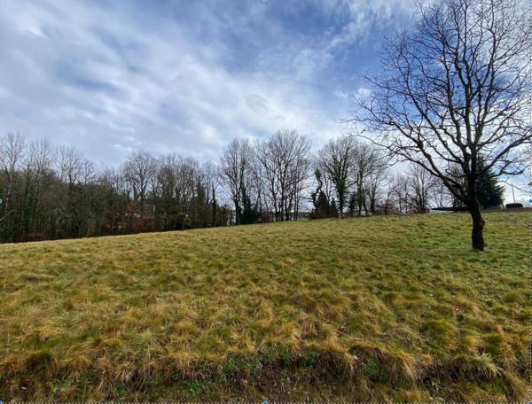 Vue dégagée, calme absolu et environnement naturel privilégié