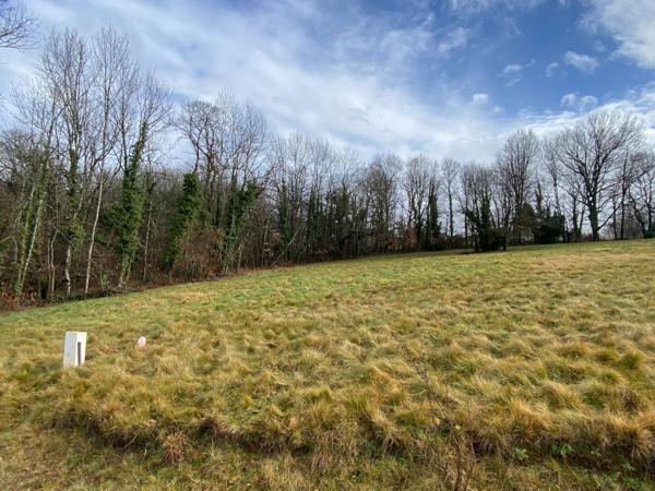 Vue dégagée, calme absolu et environnement naturel privilégié