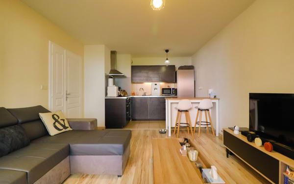 Appartement à vendre    2 pièces • 45 m2 Colmar