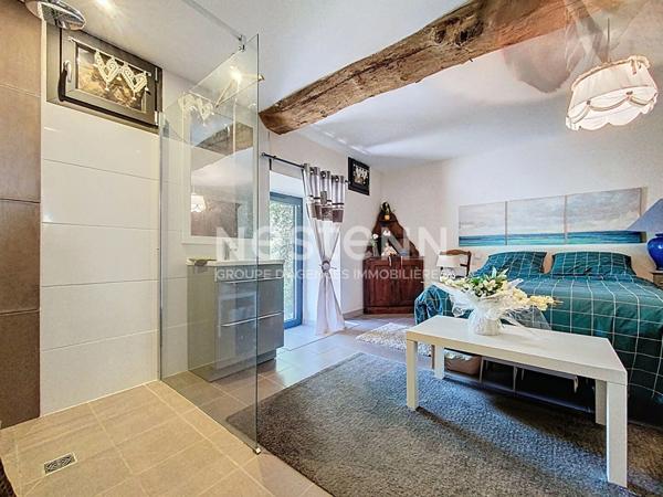 A vendre Propriété d'exception à 5minutes de Seissan avec son gite sur un terrain verdoyant et fleuri