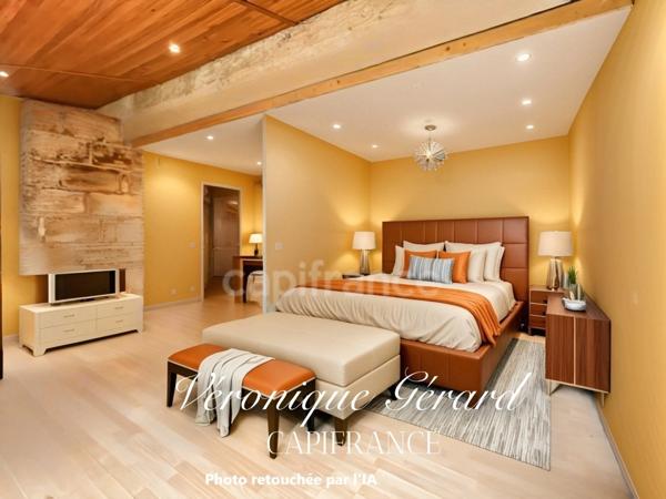 IDEAL INVESTISSEMENT MAISON EN PIERRE SUR 5494 M2 DE TERRAIN UB