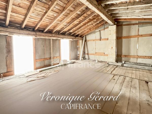 IDEAL INVESTISSEMENT MAISON EN PIERRE SUR 5494 M2 DE TERRAIN UB