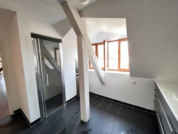 Strasbourg (67000) STRASBOURG KRUTENAU - DUPLEX 156 M² - 1800 €