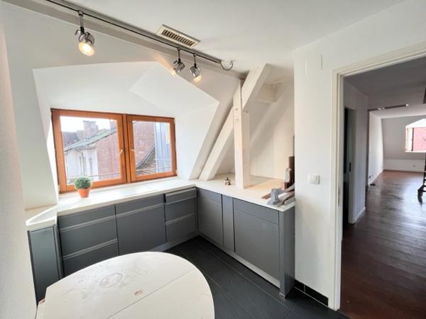 Strasbourg (67000) STRASBOURG KRUTENAU - DUPLEX 156 M² - 1800 €
