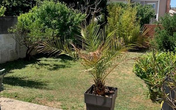 Maison à vendre    5 pièces • 125 m2 Champigny-sur-Marne