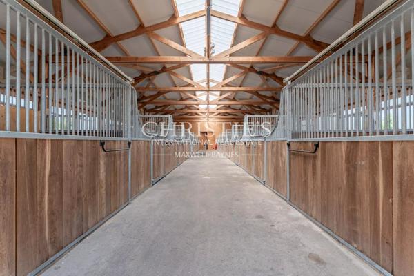 Magnifique château avec installations équestres professionnelles