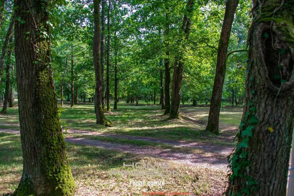 SAINT-SULPICE-DE-ROYAN - Spacieuse Maison Familiale avec Grand Terrain Boisé et Piscine