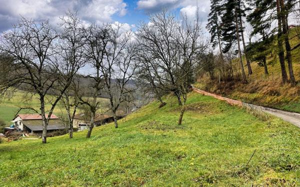 Terrain à vendre    Saint-Étienne-de-Saint-Geoirs