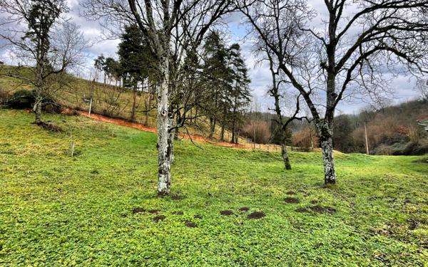 Terrain à vendre    Saint-Étienne-de-Saint-Geoirs