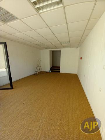 Lesparre Medoc : 500 € - AJP Lesparre Immobilier