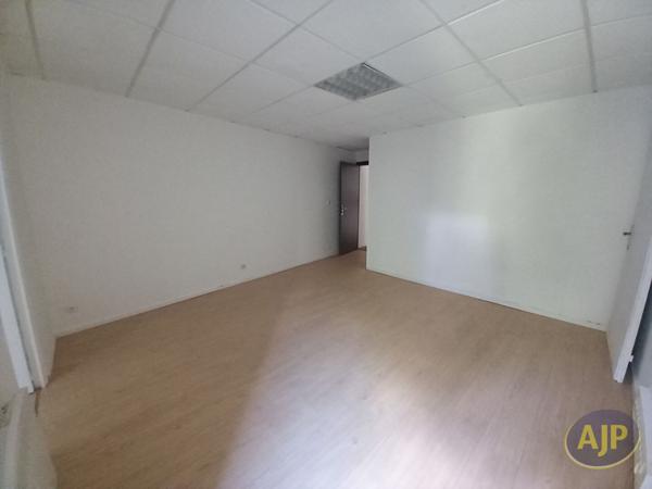 Lesparre Medoc : 500 € - AJP Lesparre Immobilier