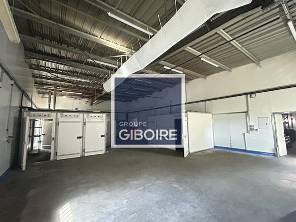 Local d'activites 500 m² à louer SAINT-JACQUES-DE-LA-LANDE (réf : 35.7262)