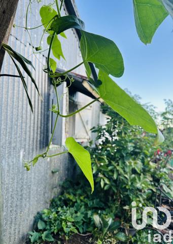 Maison à vendre 4 pièces 136 m² Saint-Louis