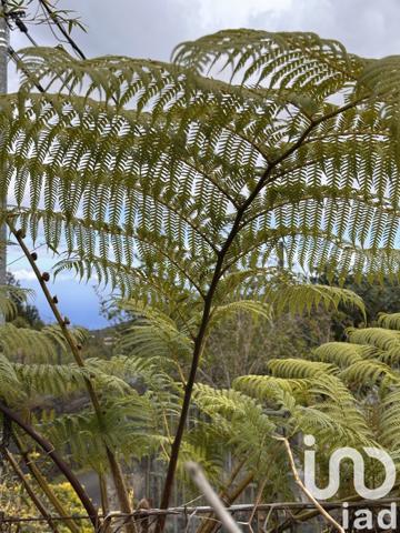 Maison à vendre 4 pièces 136 m² Saint-Louis