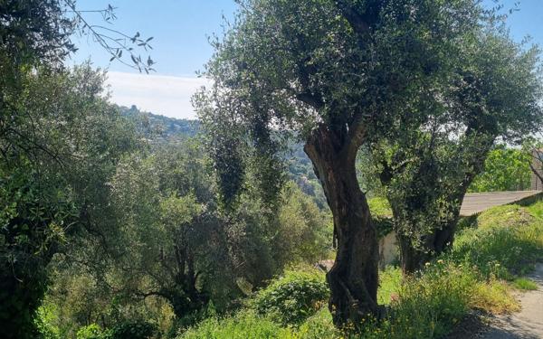 Terrain à vendre    Colomars