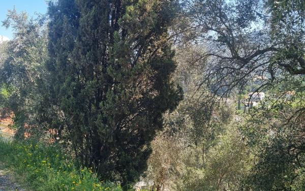 Terrain à vendre    Colomars