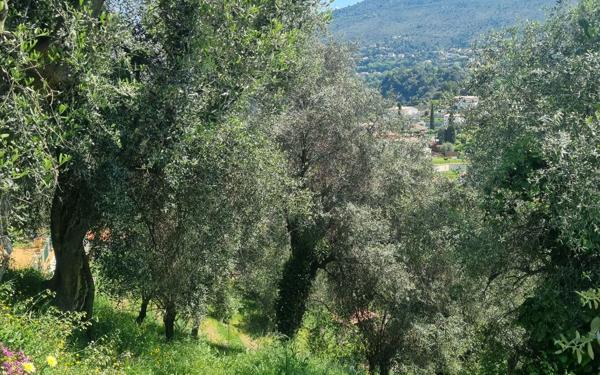 Terrain à vendre    Colomars