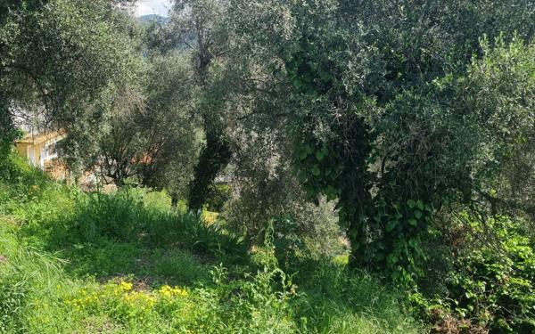 Terrain à vendre    Colomars