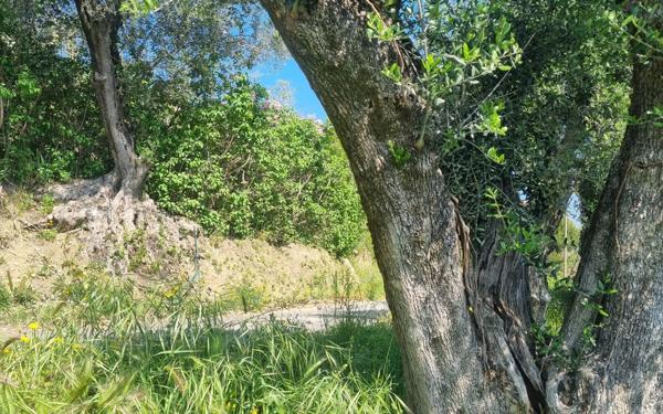 Terrain à vendre    Colomars