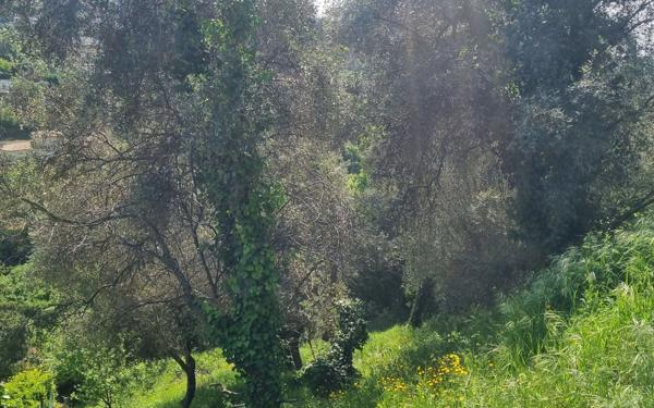 Terrain à vendre    Colomars