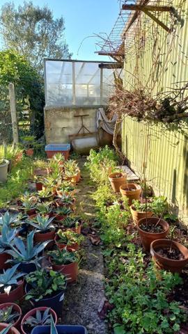 Belle charentaise divisée en 2 logements