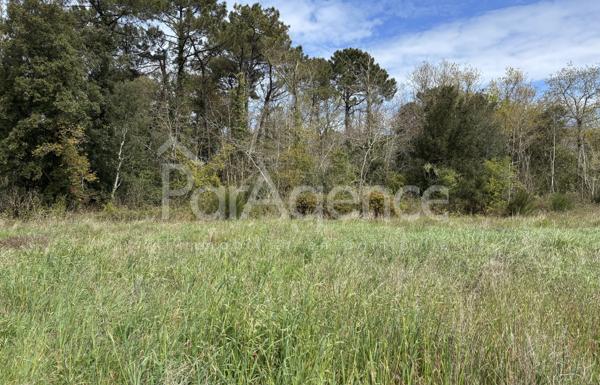 Terrain constructible 419 m2 Environnement calme et boisé