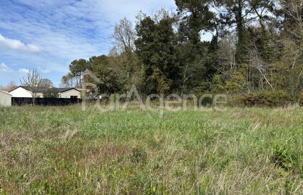 Terrain constructible 419 m2 Environnement calme et boisé