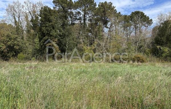 Terrain constructible 419 m2 Environnement calme et boisé