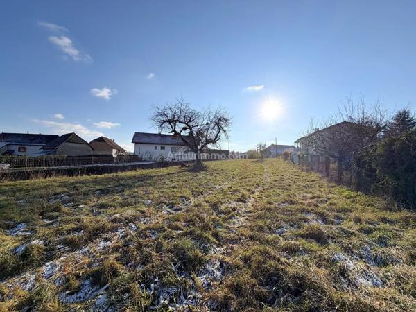 Vente                                                      Terrain
                        
                                         1948 m2                     à Dolomieu