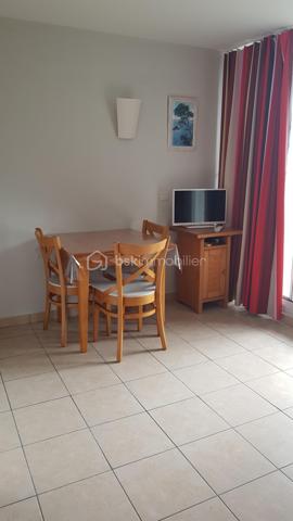 Studette de 20,32 m²