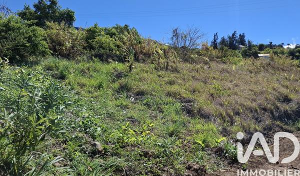 Terrain à vendre 342 m² Saint-Denis