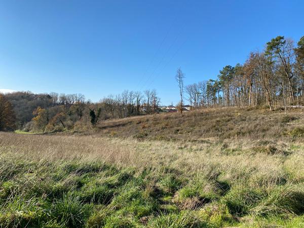 AV Terrain constructible à Trelissac 24750 proche Hopital  (1 hectare)