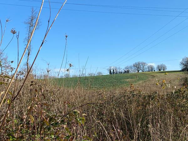 AV Terrain constructible à Trelissac 24750 proche Hopital  (1 hectare)
