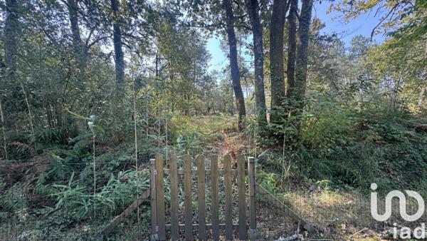 Maison à vendre 4 pièces 116 m² Soustons