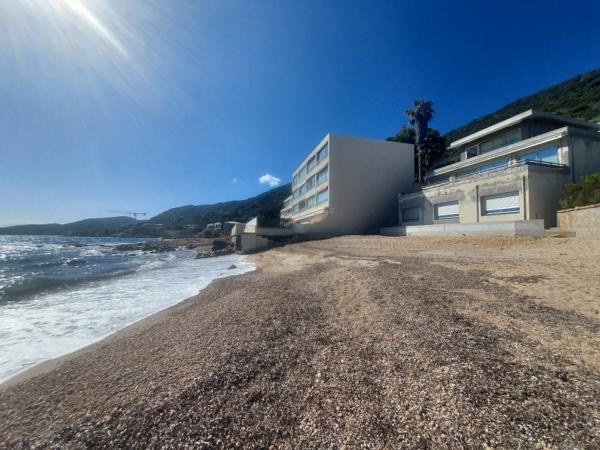 Grand Studio 42m² les pieds dans l'eau route des Sanguinaires vue mer Ajaccio (20000)