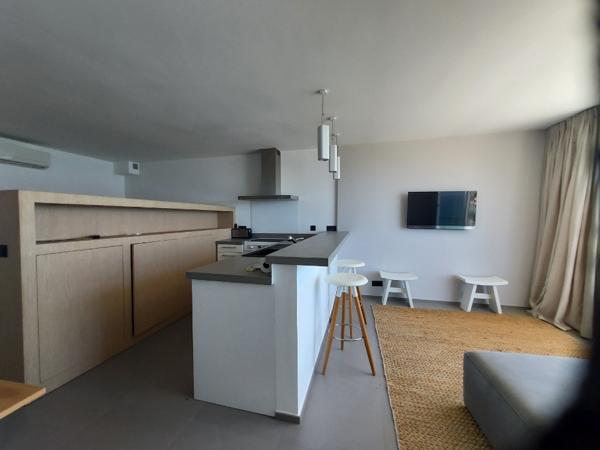Grand Studio 42m² les pieds dans l'eau route des Sanguinaires vue mer Ajaccio (20000)