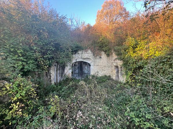 Ensemble de caves avec terrain ? Montrichard Val de Cher
