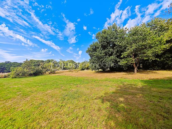 Terrain de 2 000 m²