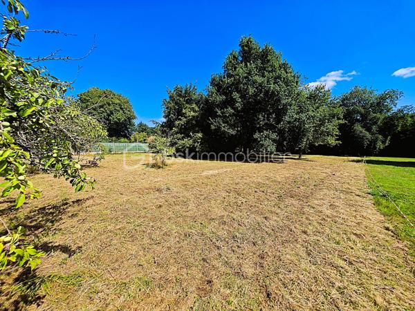 Terrain de 2 000 m²