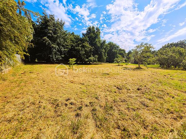 Terrain de 2 000 m²