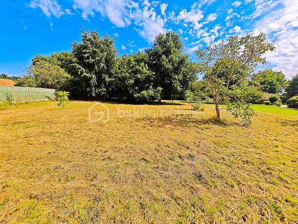 Terrain de 2 000 m²